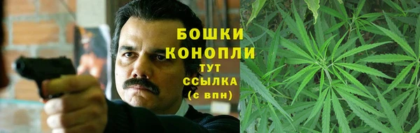 крисы Осташков