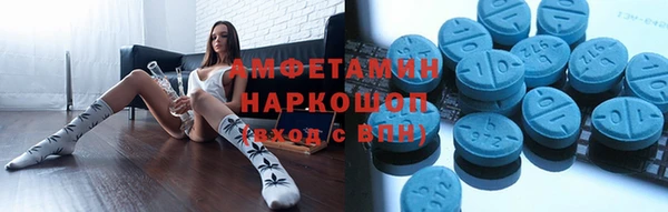 дмт Богданович