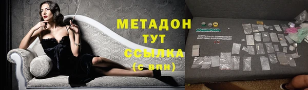 дмт Богданович