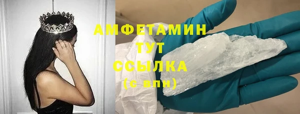 дмт Богданович
