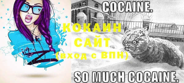 дмт Богданович