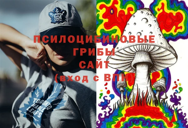 дмт Богданович