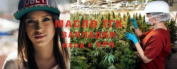 дмт Богданович
