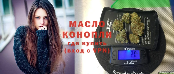 дмт Богданович