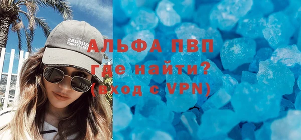 дмт Богданович