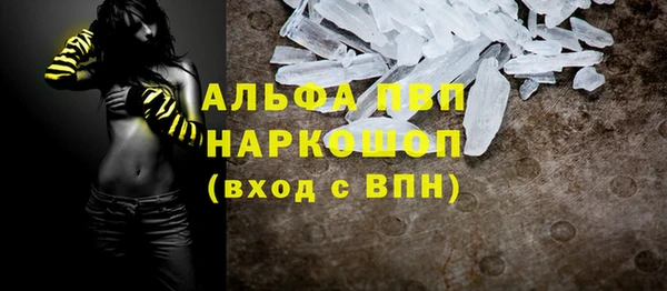 дмт Богданович