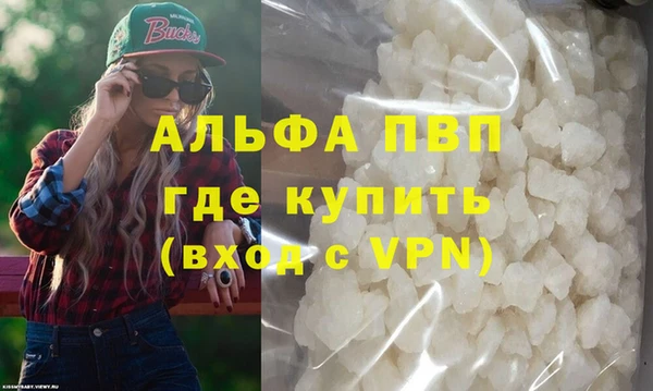 дмт Богданович